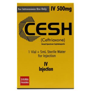 Cesh IV 500mg Injection 1 vial