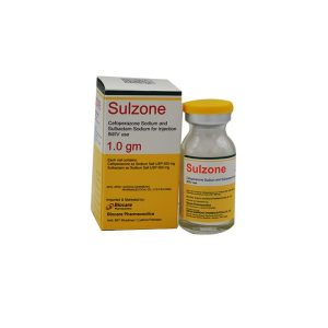Sulzon 1gm Injection 1 vial